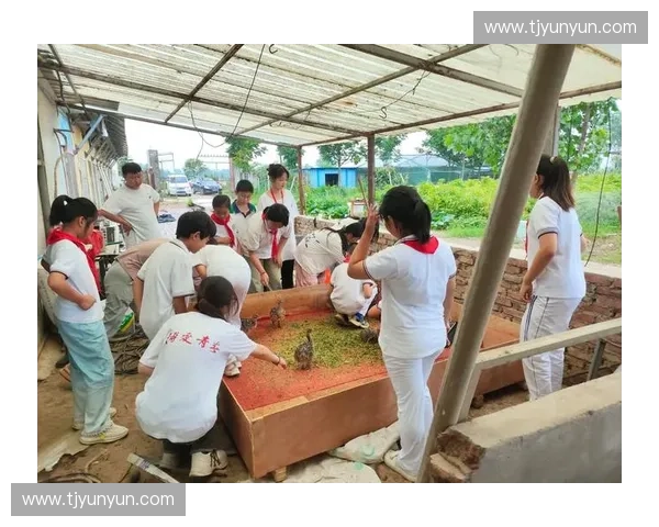 以训练观察为核心探讨教育实践中的观察技巧与方法 以训练观察为核心探讨教育实践中的观察技巧与方法