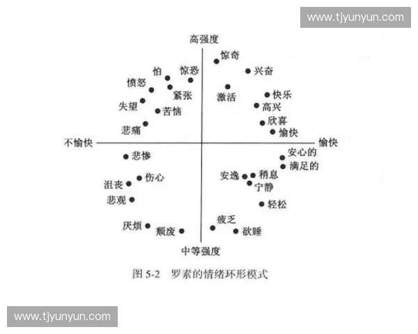 基于观众情绪分析的内容传播效果评估与策略优化研究模型构建路径 基于观众情绪分析的内容传播效果评估与策略优化研究模型构建路径