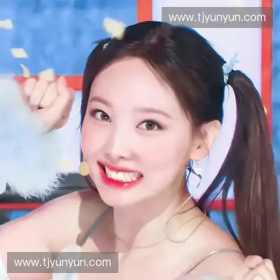 崔振姝